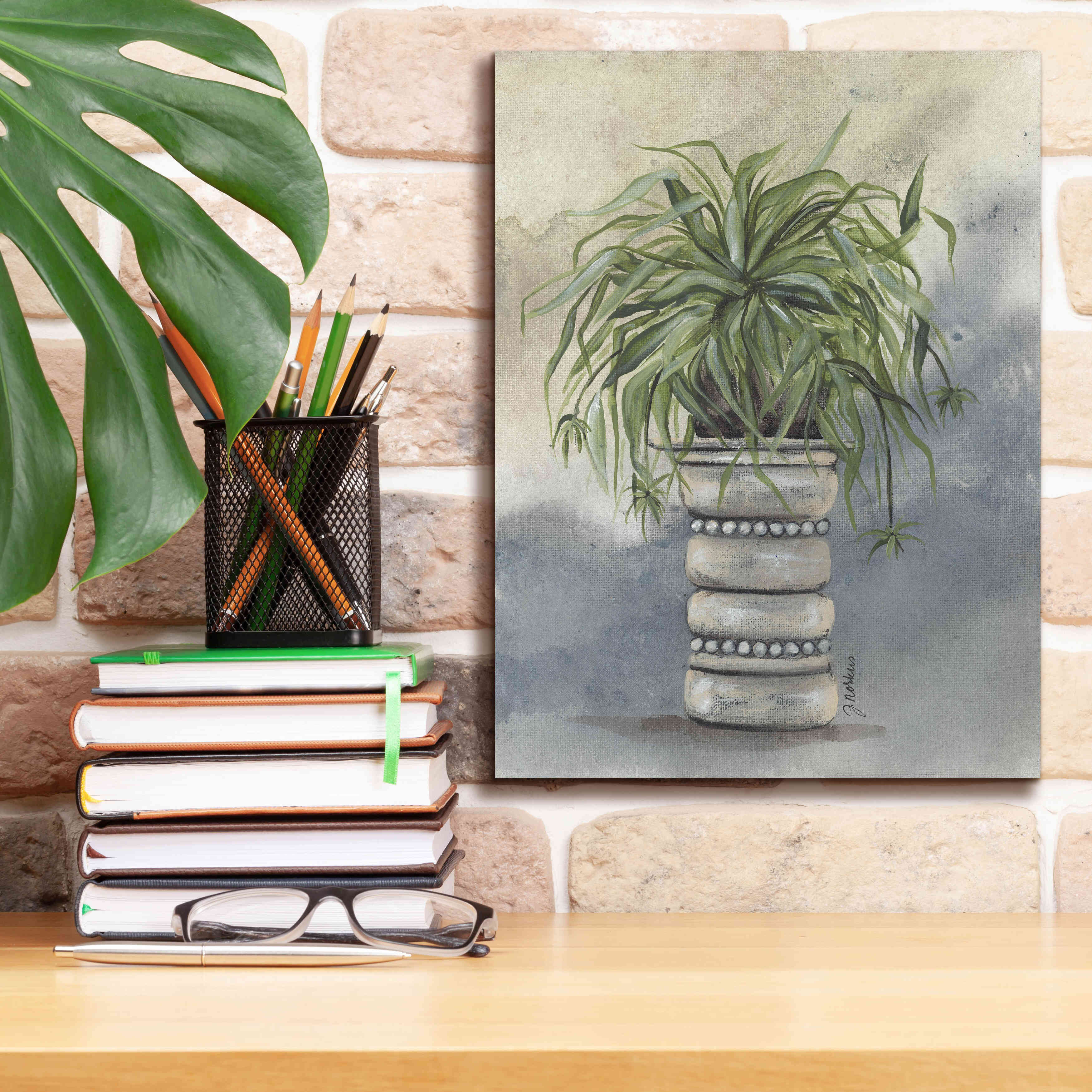 'Spider Plant in Pottery' by Julie Norkus, Giclee Canvas Wall Art,12x16
