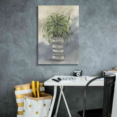 Image of 'Spider Plant in Pottery' by Julie Norkus, Giclee Canvas Wall Art,18x26