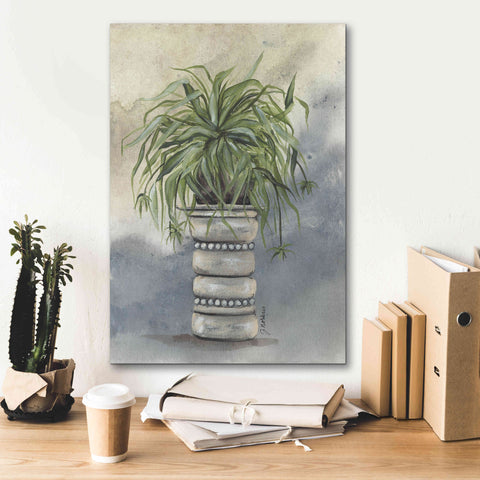 Image of 'Spider Plant in Pottery' by Julie Norkus, Giclee Canvas Wall Art,18x26