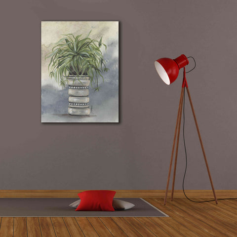 Image of 'Spider Plant in Pottery' by Julie Norkus, Giclee Canvas Wall Art,26x34