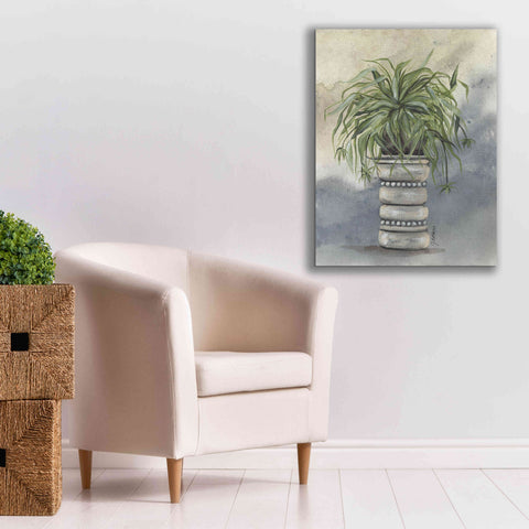 Image of 'Spider Plant in Pottery' by Julie Norkus, Giclee Canvas Wall Art,26x34