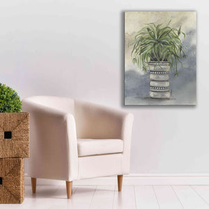 'Spider Plant in Pottery' by Julie Norkus, Giclee Canvas Wall Art,26x34