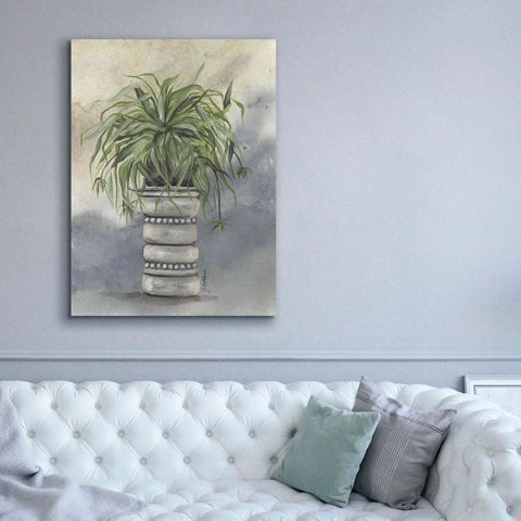 Image of 'Spider Plant in Pottery' by Julie Norkus, Giclee Canvas Wall Art,40x54