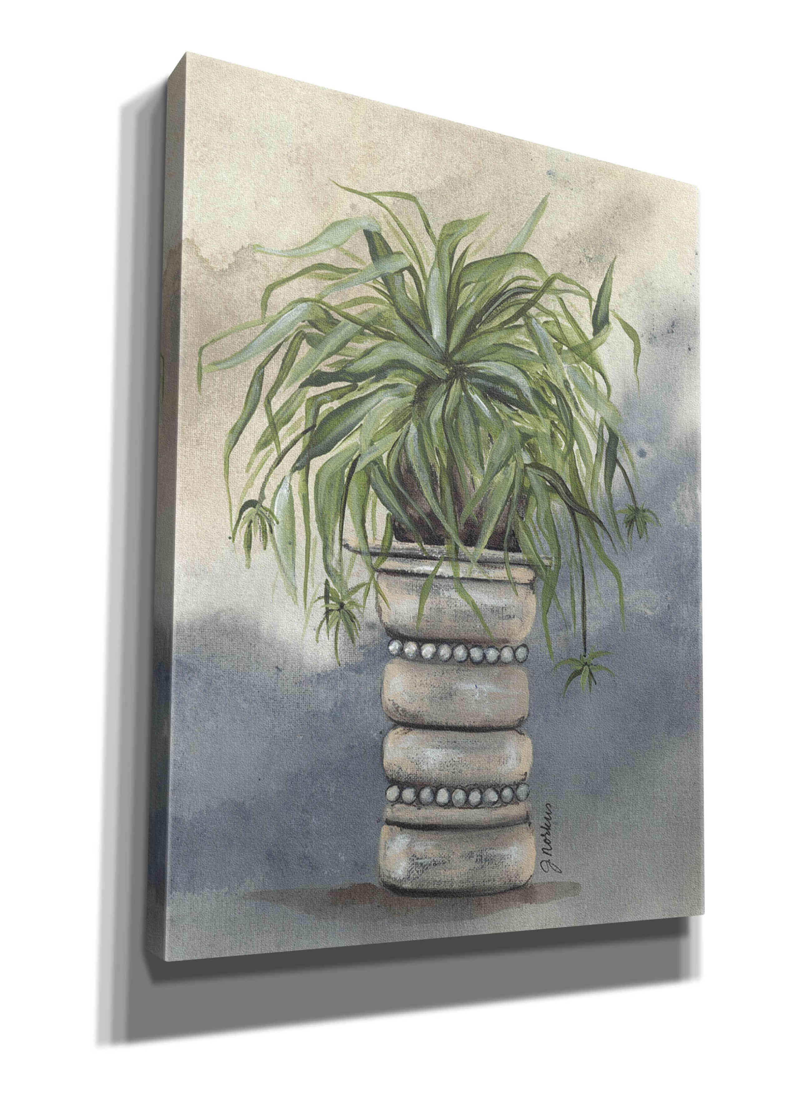 'Spider Plant in Pottery' by Julie Norkus, Giclee Canvas Wall Art