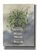 'Spider Plant in Pottery' by Julie Norkus, Giclee Canvas Wall Art