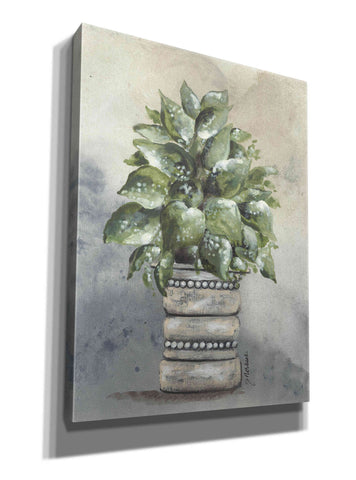 Image of 'Pathos in Pottery' by Julie Norkus, Giclee Canvas Wall Art