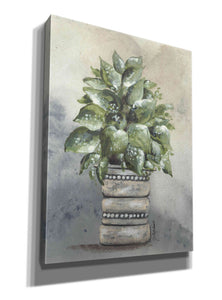 'Pathos in Pottery' by Julie Norkus, Giclee Canvas Wall Art
