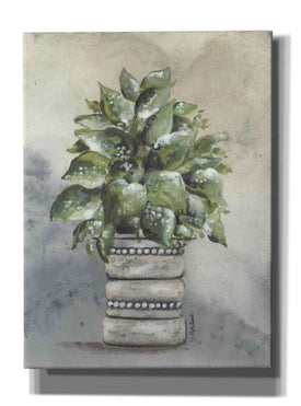 'Pathos in Pottery' by Julie Norkus, Giclee Canvas Wall Art