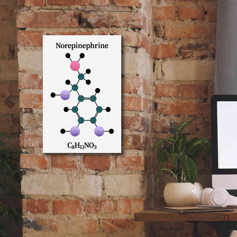 Image of 'Norepinephrine Molecule' by Epic Portfolio, Giclee Canvas Wall Art,12x18