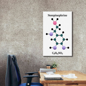 'Norepinephrine Molecule' by Epic Portfolio, Giclee Canvas Wall Art,26x40