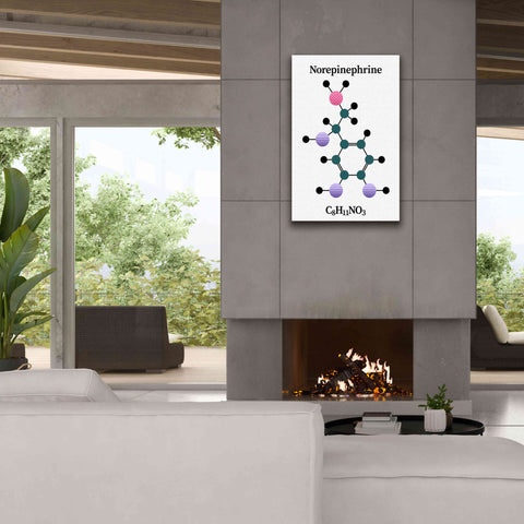 Image of 'Norepinephrine Molecule' by Epic Portfolio, Giclee Canvas Wall Art,26x40