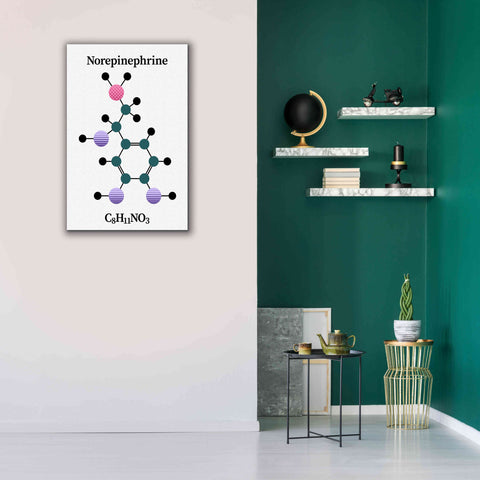 Image of 'Norepinephrine Molecule' by Epic Portfolio, Giclee Canvas Wall Art,26x40