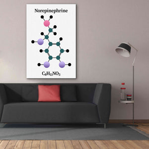 'Norepinephrine Molecule' by Epic Portfolio, Giclee Canvas Wall Art,40x60