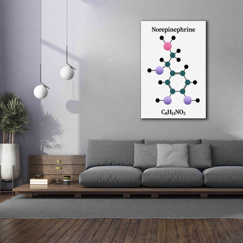 Image of 'Norepinephrine Molecule' by Epic Portfolio, Giclee Canvas Wall Art,40x60