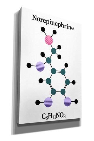Image of 'Norepinephrine Molecule' by Epic Portfolio, Giclee Canvas Wall Art