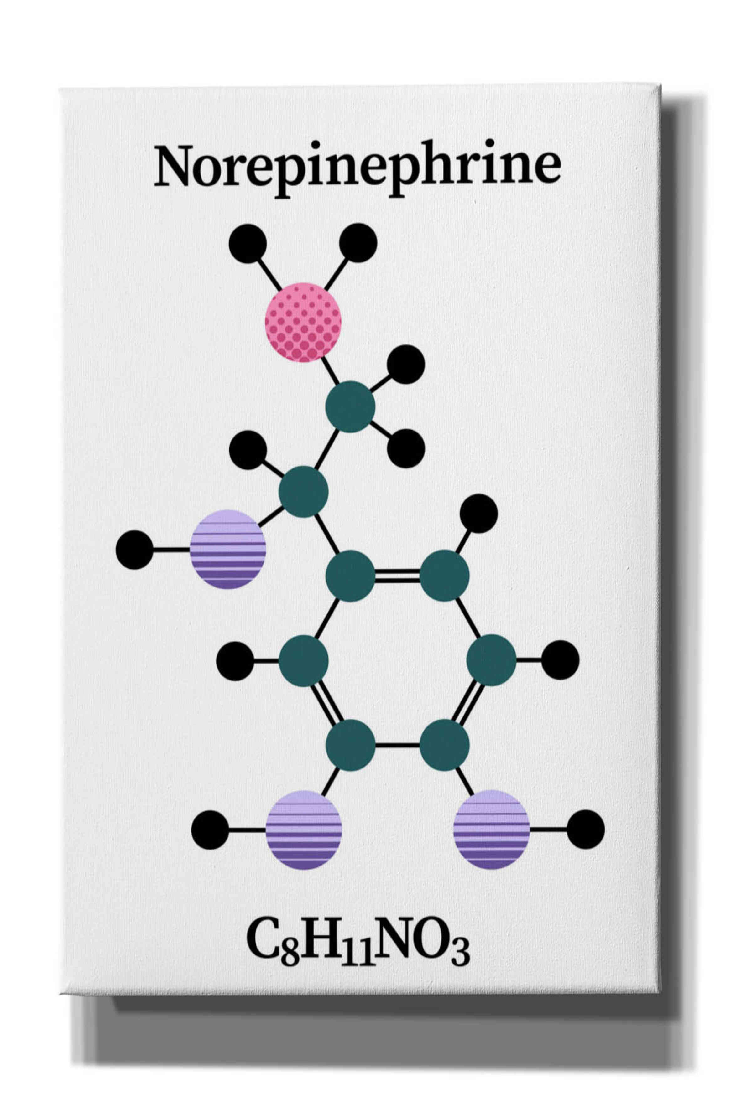'Norepinephrine Molecule' by Epic Portfolio, Giclee Canvas Wall Art