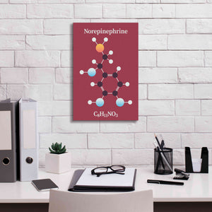 'Norepinephrine Molecule 2' by Epic Portfolio, Giclee Canvas Wall Art,12x18