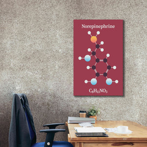 'Norepinephrine Molecule 2' by Epic Portfolio, Giclee Canvas Wall Art,26x40