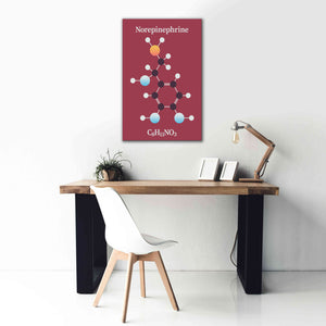 'Norepinephrine Molecule 2' by Epic Portfolio, Giclee Canvas Wall Art,26x40