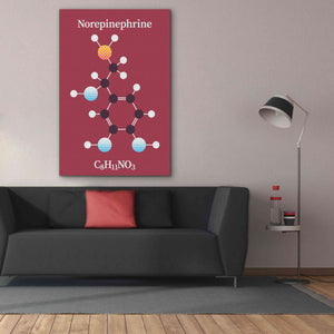 'Norepinephrine Molecule 2' by Epic Portfolio, Giclee Canvas Wall Art,40x60