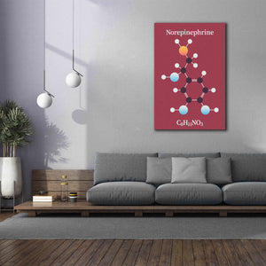 'Norepinephrine Molecule 2' by Epic Portfolio, Giclee Canvas Wall Art,40x60