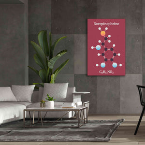 'Norepinephrine Molecule 2' by Epic Portfolio, Giclee Canvas Wall Art,40x60