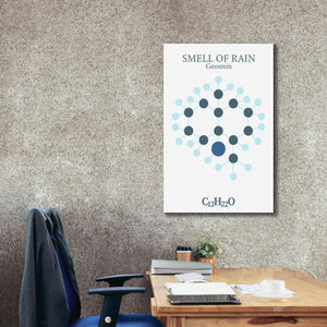 'Smell Of Rain Molecule' by Epic Portfolio, Giclee Canvas Wall Art,26x40