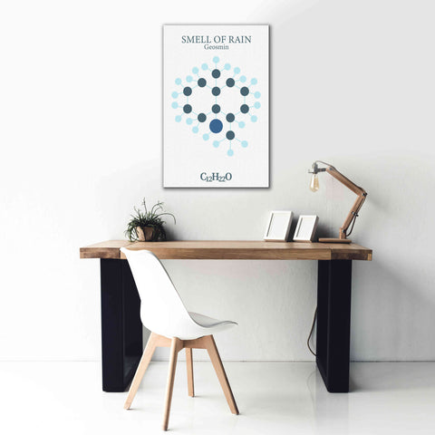 Image of 'Smell Of Rain Molecule' by Epic Portfolio, Giclee Canvas Wall Art,26x40