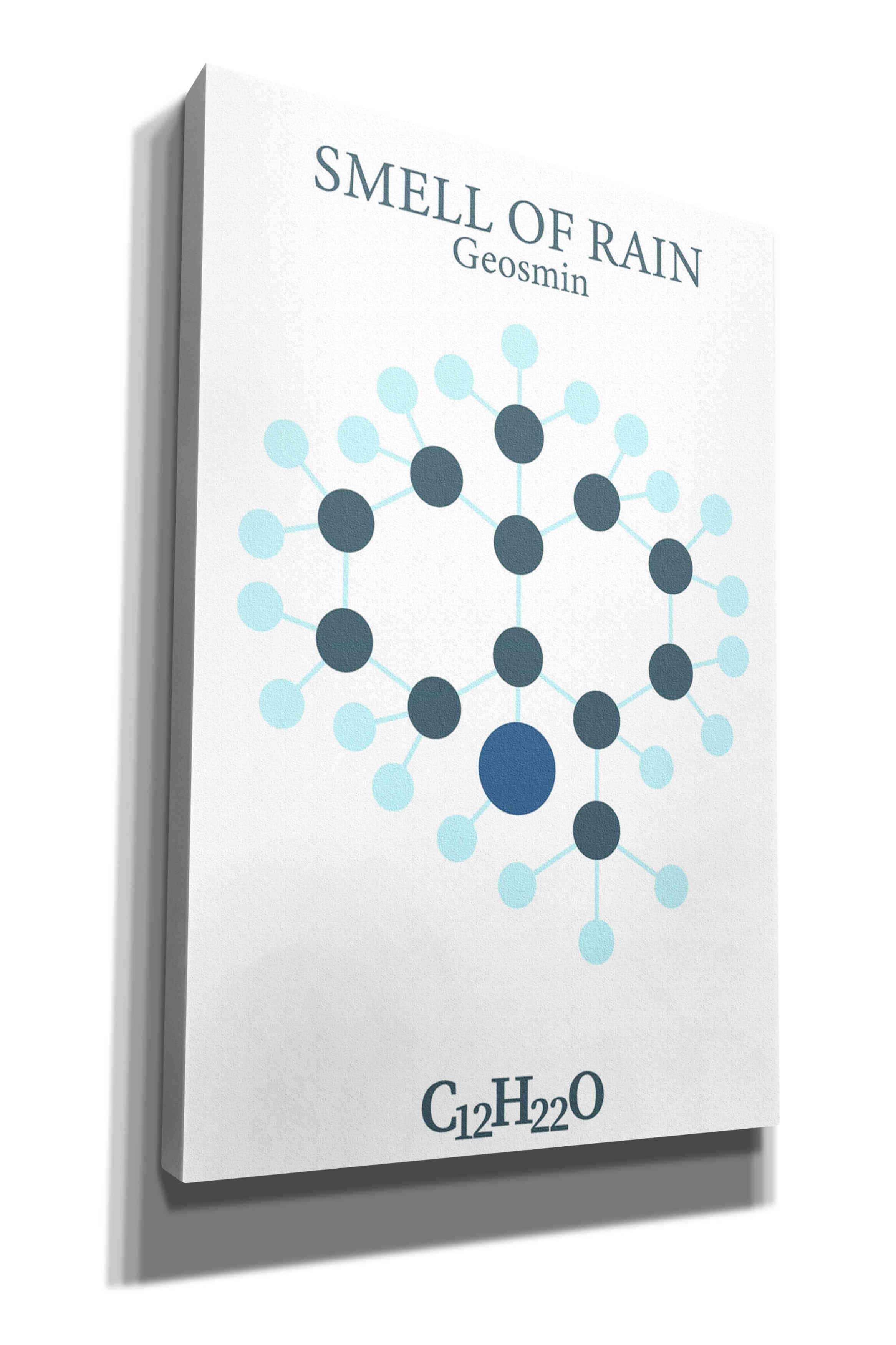 'Smell Of Rain Molecule' by Epic Portfolio, Giclee Canvas Wall Art