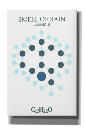 'Smell Of Rain Molecule' by Epic Portfolio, Giclee Canvas Wall Art