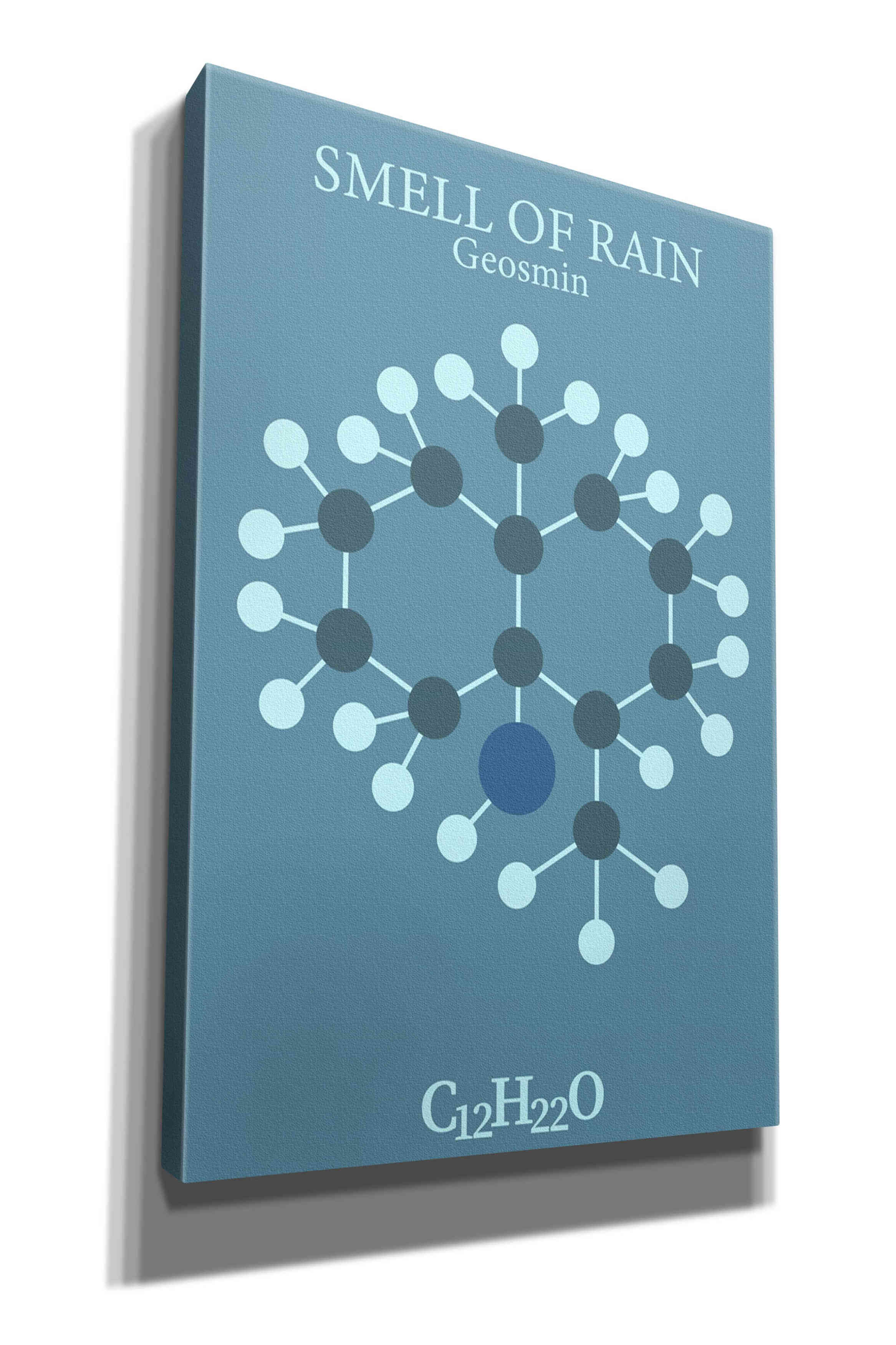 'Smell Of Rain Molecule 2' by Epic Portfolio, Giclee Canvas Wall Art