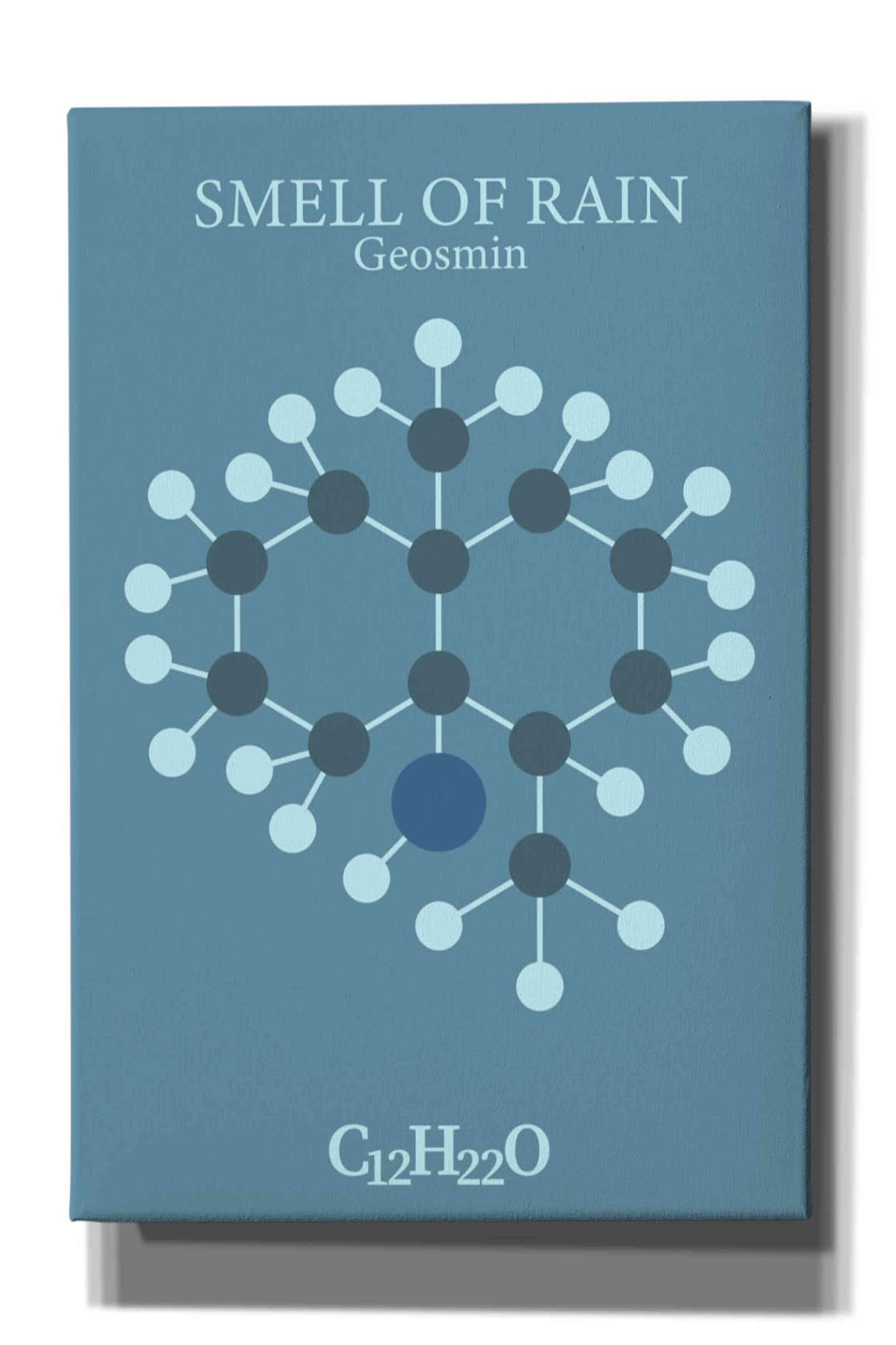 'Smell Of Rain Molecule 2' by Epic Portfolio, Giclee Canvas Wall Art