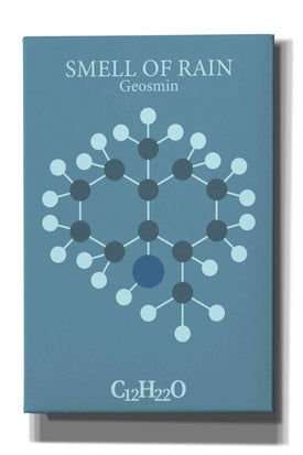 'Smell Of Rain Molecule 2' by Epic Portfolio, Giclee Canvas Wall Art