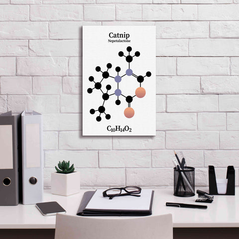 Image of 'Catnip Molecule' by Epic Portfolio, Giclee Canvas Wall Art,12x18
