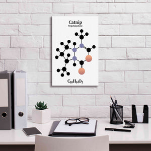 'Catnip Molecule' by Epic Portfolio, Giclee Canvas Wall Art,12x18