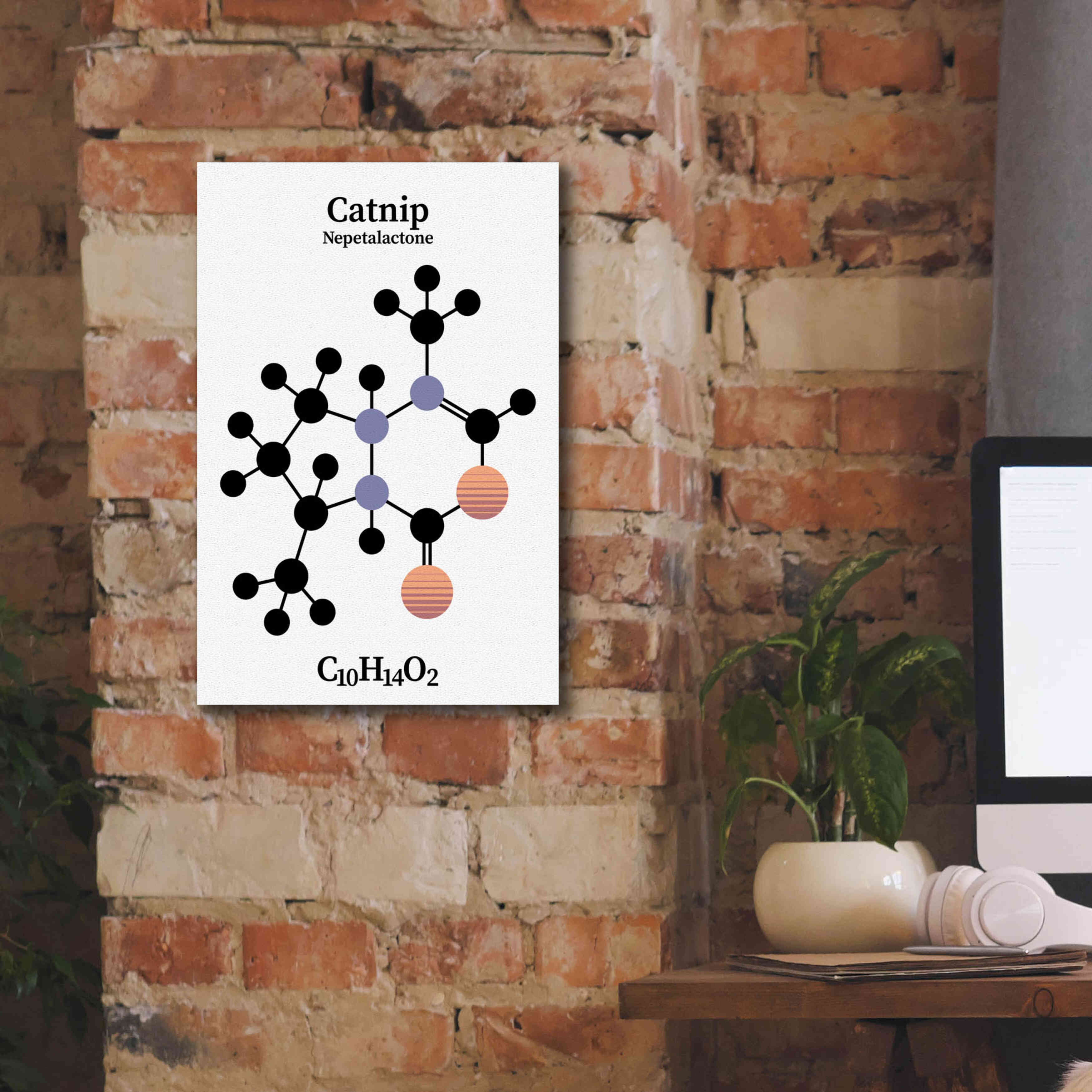 'Catnip Molecule' by Epic Portfolio, Giclee Canvas Wall Art,12x18