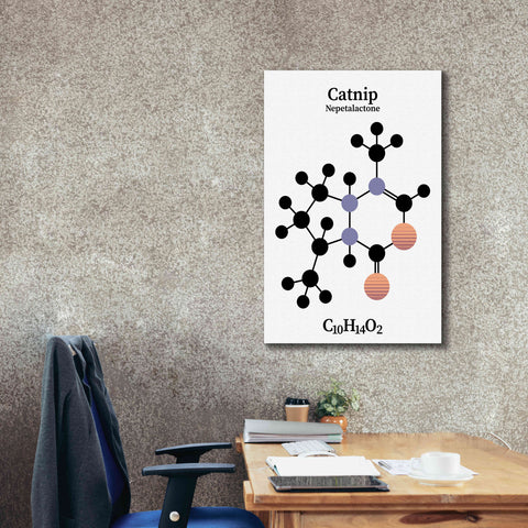 Image of 'Catnip Molecule' by Epic Portfolio, Giclee Canvas Wall Art,26x40