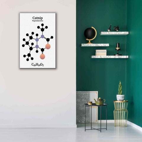 Image of 'Catnip Molecule' by Epic Portfolio, Giclee Canvas Wall Art,26x40