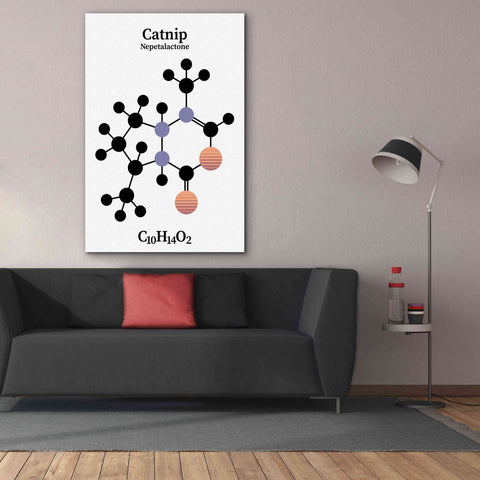 Image of 'Catnip Molecule' by Epic Portfolio, Giclee Canvas Wall Art,40x60