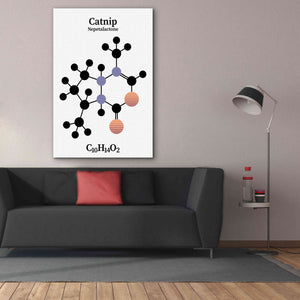 'Catnip Molecule' by Epic Portfolio, Giclee Canvas Wall Art,40x60