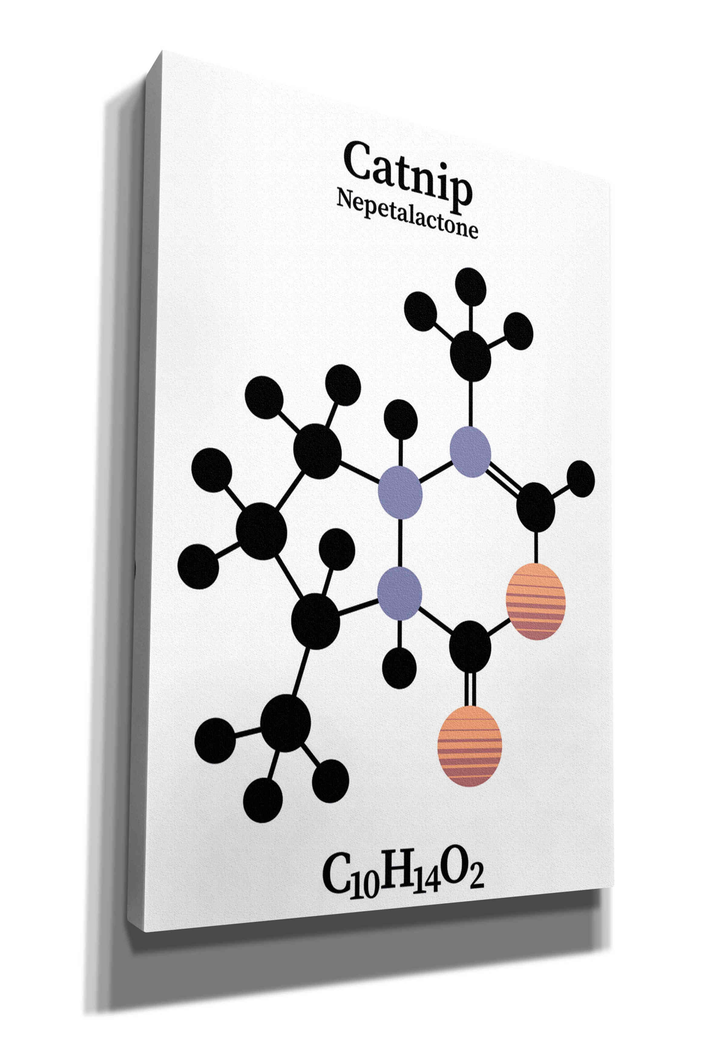 'Catnip Molecule' by Epic Portfolio, Giclee Canvas Wall Art