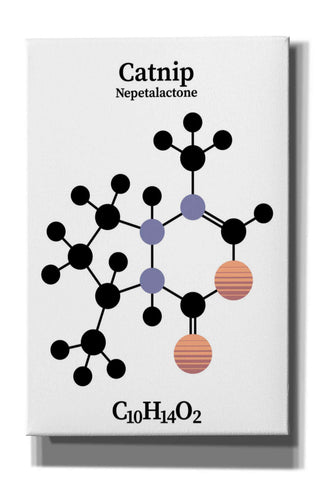 Image of 'Catnip Molecule' by Epic Portfolio, Giclee Canvas Wall Art