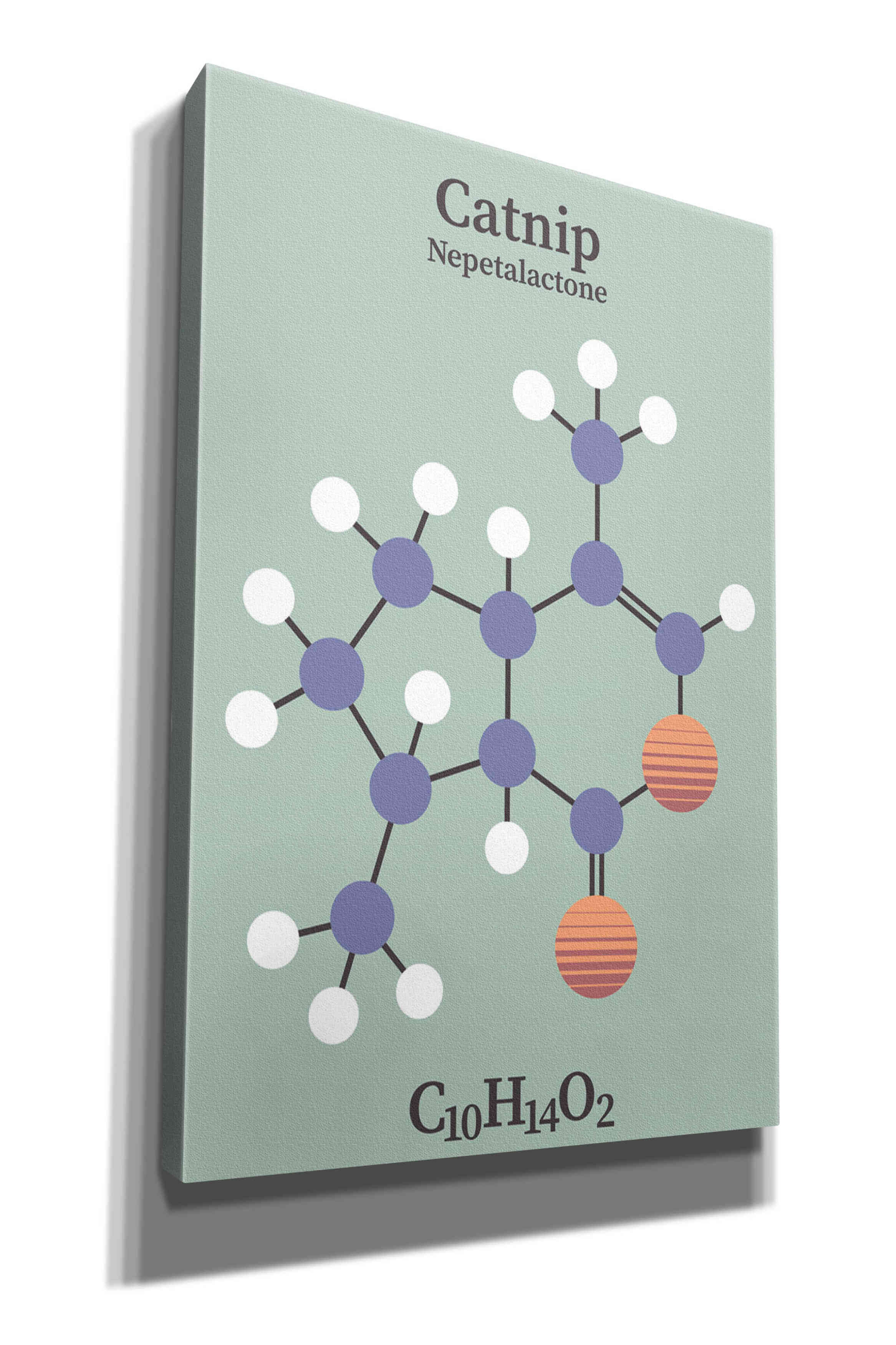 'Catnip Molecule 2' by Epic Portfolio, Giclee Canvas Wall Art