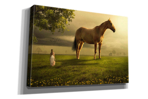 Image of 'Field of Visions' by Alan, Giclee Canvas Wall Art