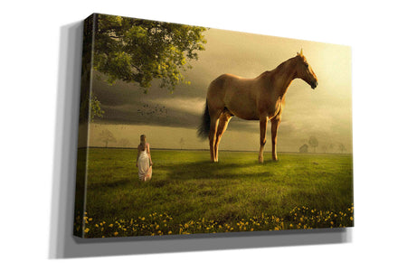 'Field of Visions' by Alan, Giclee Canvas Wall Art