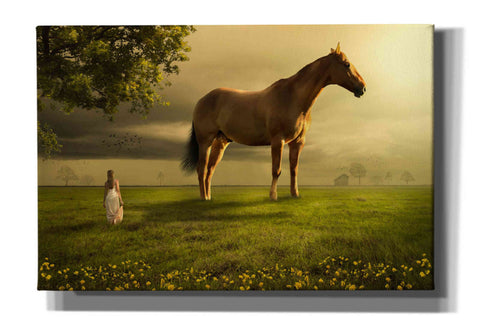 Image of 'Field of Visions' by Alan, Giclee Canvas Wall Art