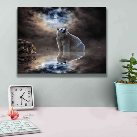 Image of 'Polar Bear Reflections' by Alan, Giclee Canvas Wall Art,16x12