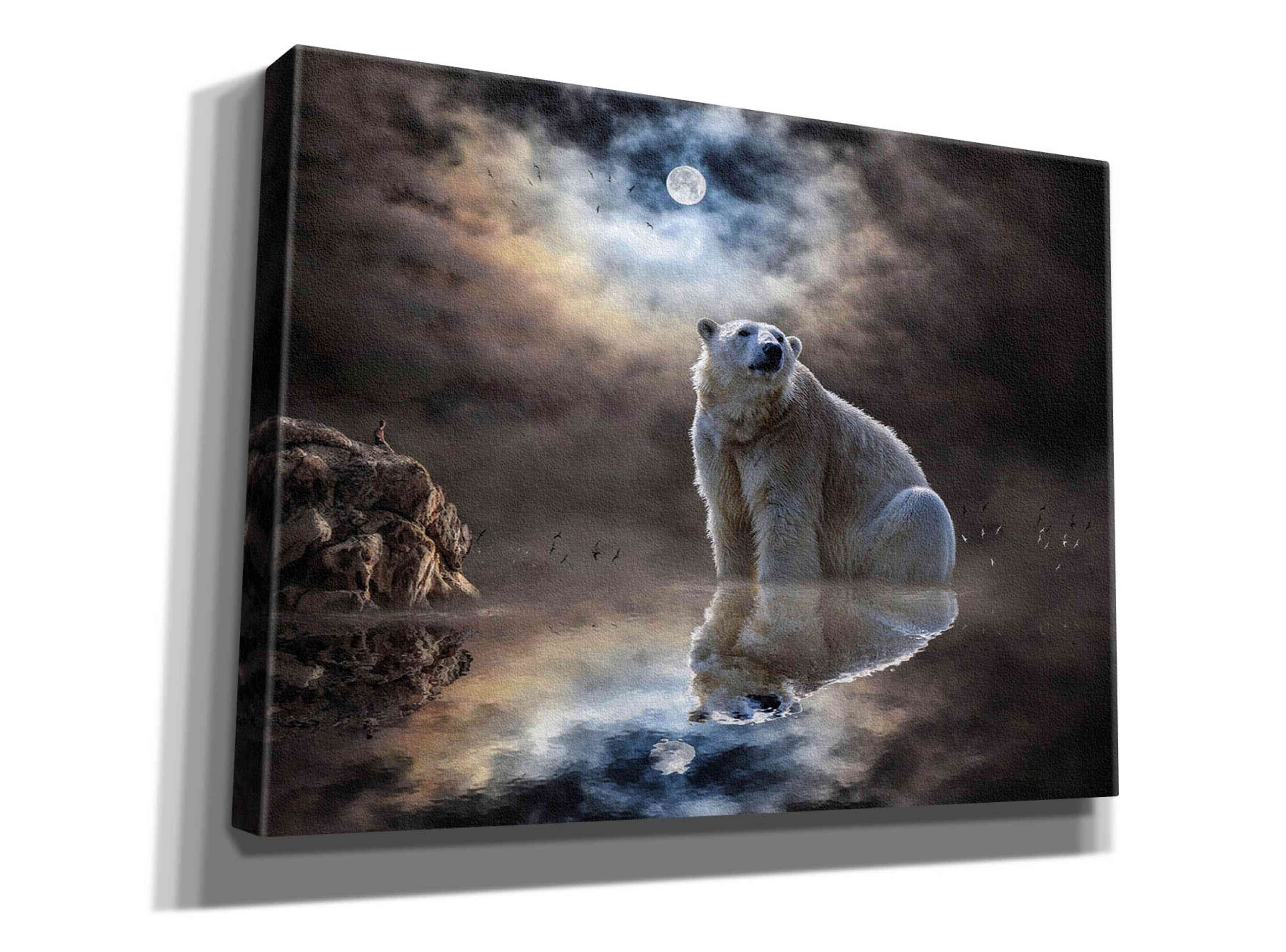 'Polar Bear Reflections' by Alan, Giclee Canvas Wall Art