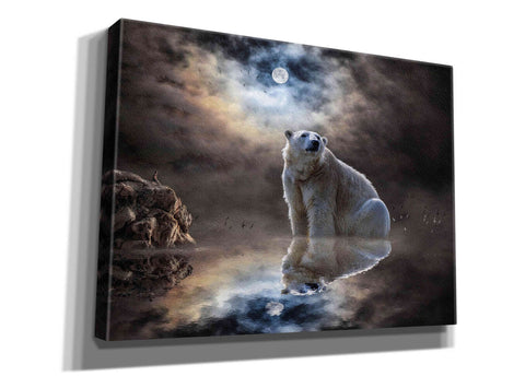Image of 'Polar Bear Reflections' by Alan, Giclee Canvas Wall Art