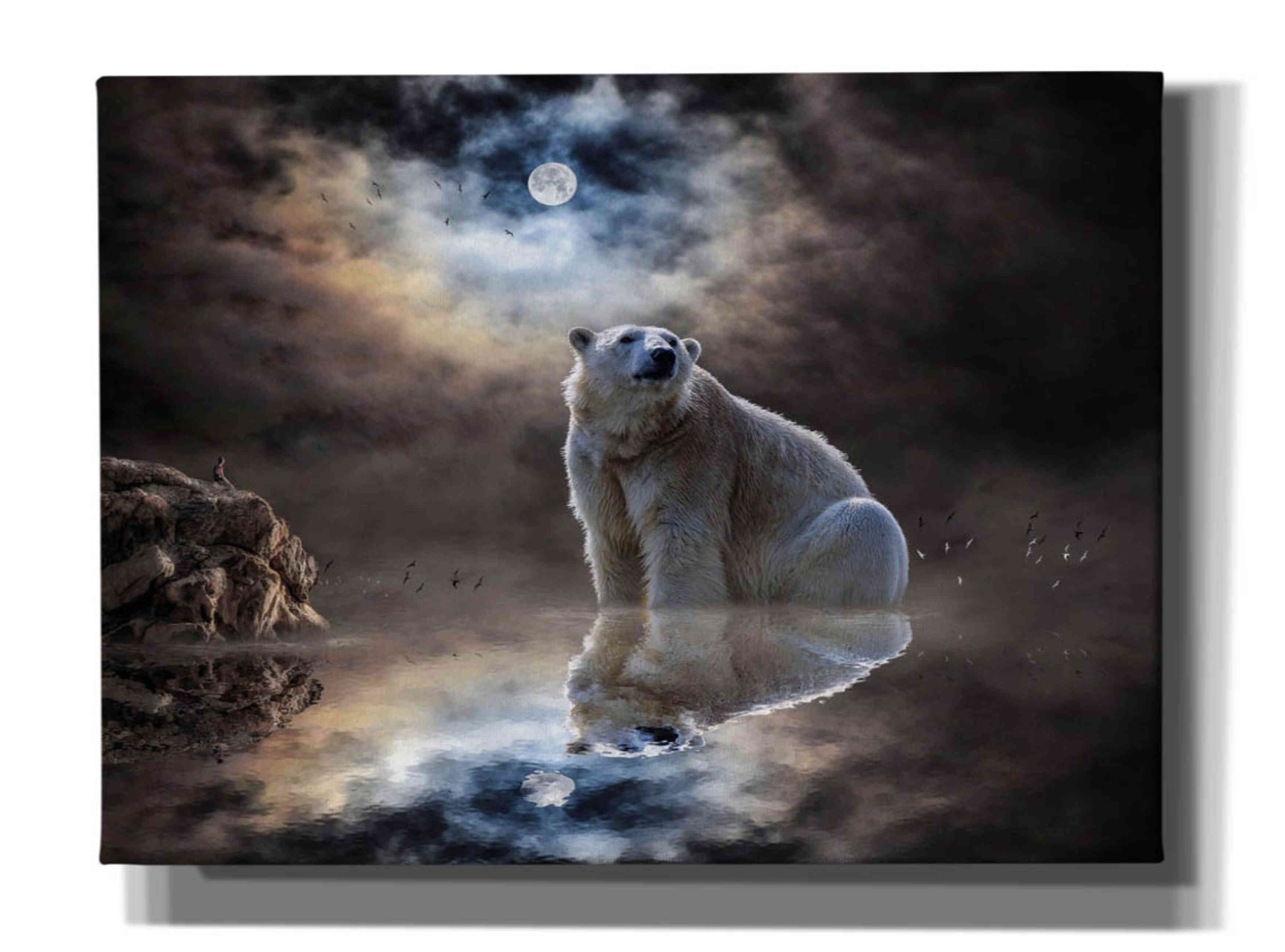 'Polar Bear Reflections' by Alan, Giclee Canvas Wall Art